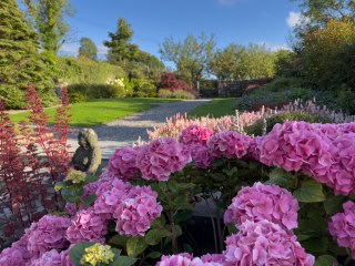 The Colours and Fragrances of Nature’s Elegance in the Walled Garden