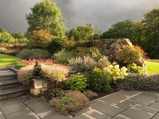 …That’s Why It Thrives in Splendour